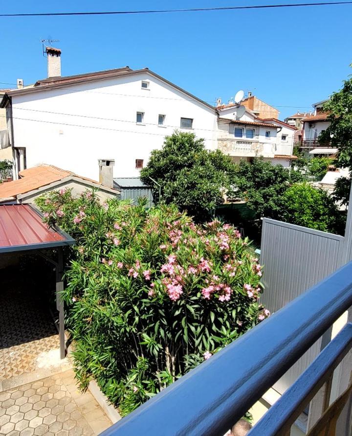 Apartmani Sojka 罗维尼 外观 照片